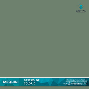 Tarquini-Base-Color-D